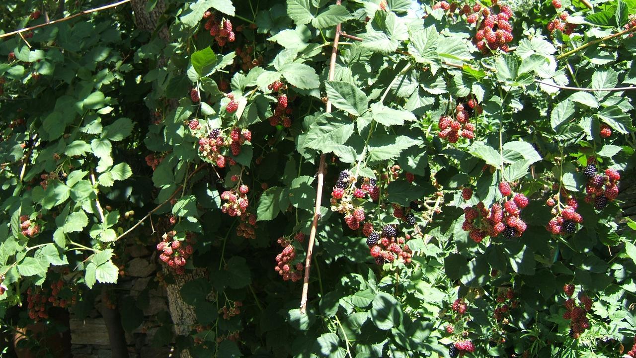 Nives Otel Nimfaíon Dış mekan fotoğraf